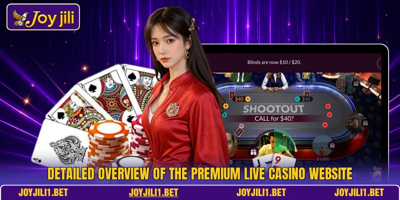 Detailed overview of the premium live casino website Detailed overview of the premium live casino website