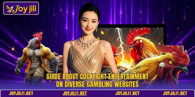 Guide about cockfight entertainment on diverse gambling websites Guide about cockfight entertainment on diverse gambling websites