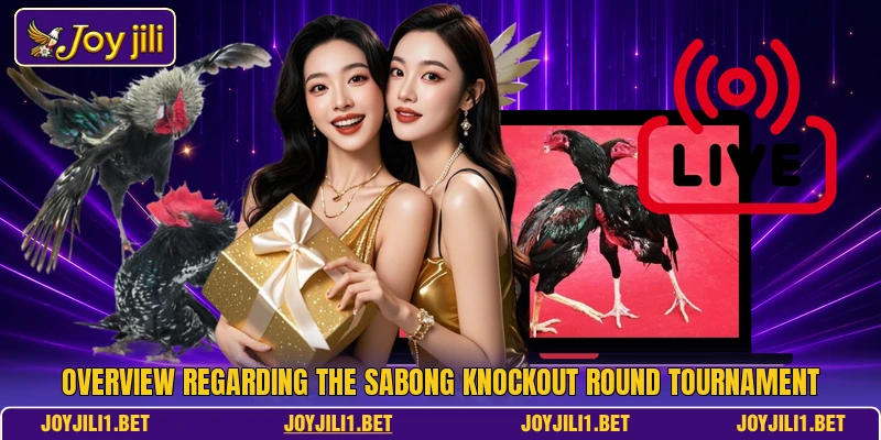 Overview regarding the Sabong Knockout Round tournament Overview regarding the Sabong Knockout Round tournament